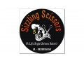Details : Unisex Salon-Sizzling Scissors